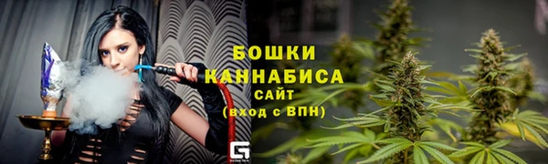 соль ск Верхний Тагил