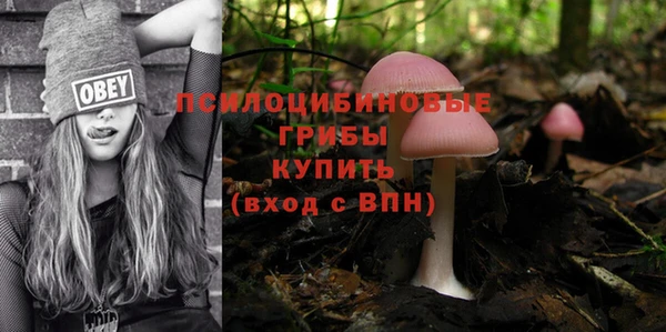 соль ск Верхний Тагил