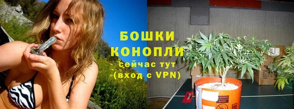 соль ск Верхний Тагил
