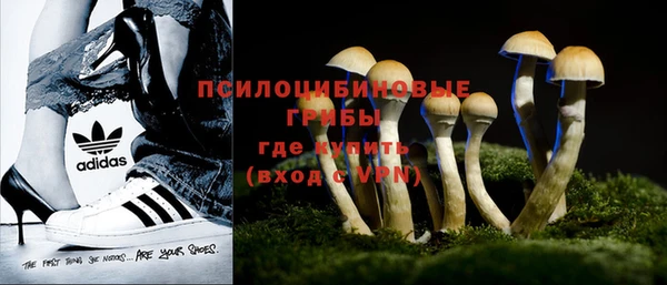 соль ск Верхний Тагил